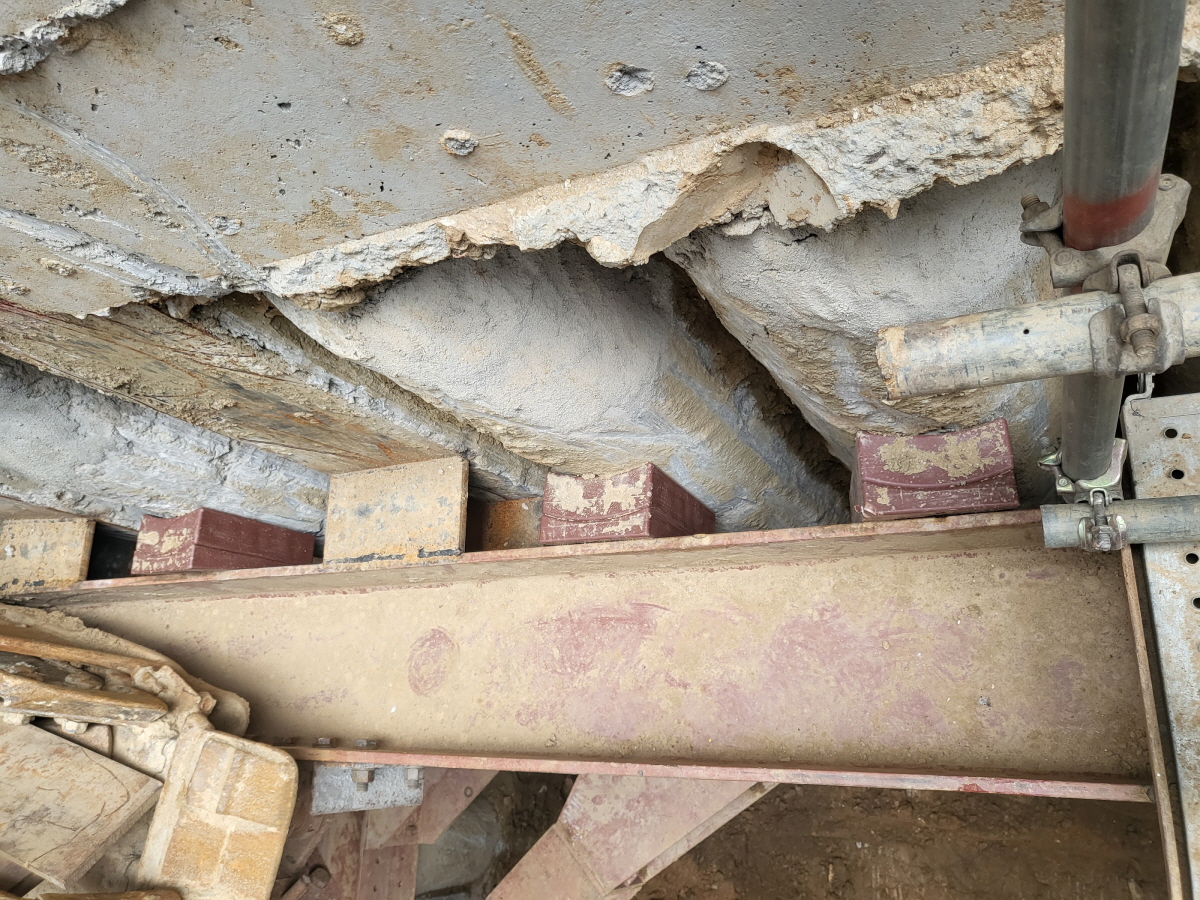 /user/s/sgeng/editor/2307/affdd08162447731c59d211be6129d69_1688620467_6203.jpg 이미지크게보기