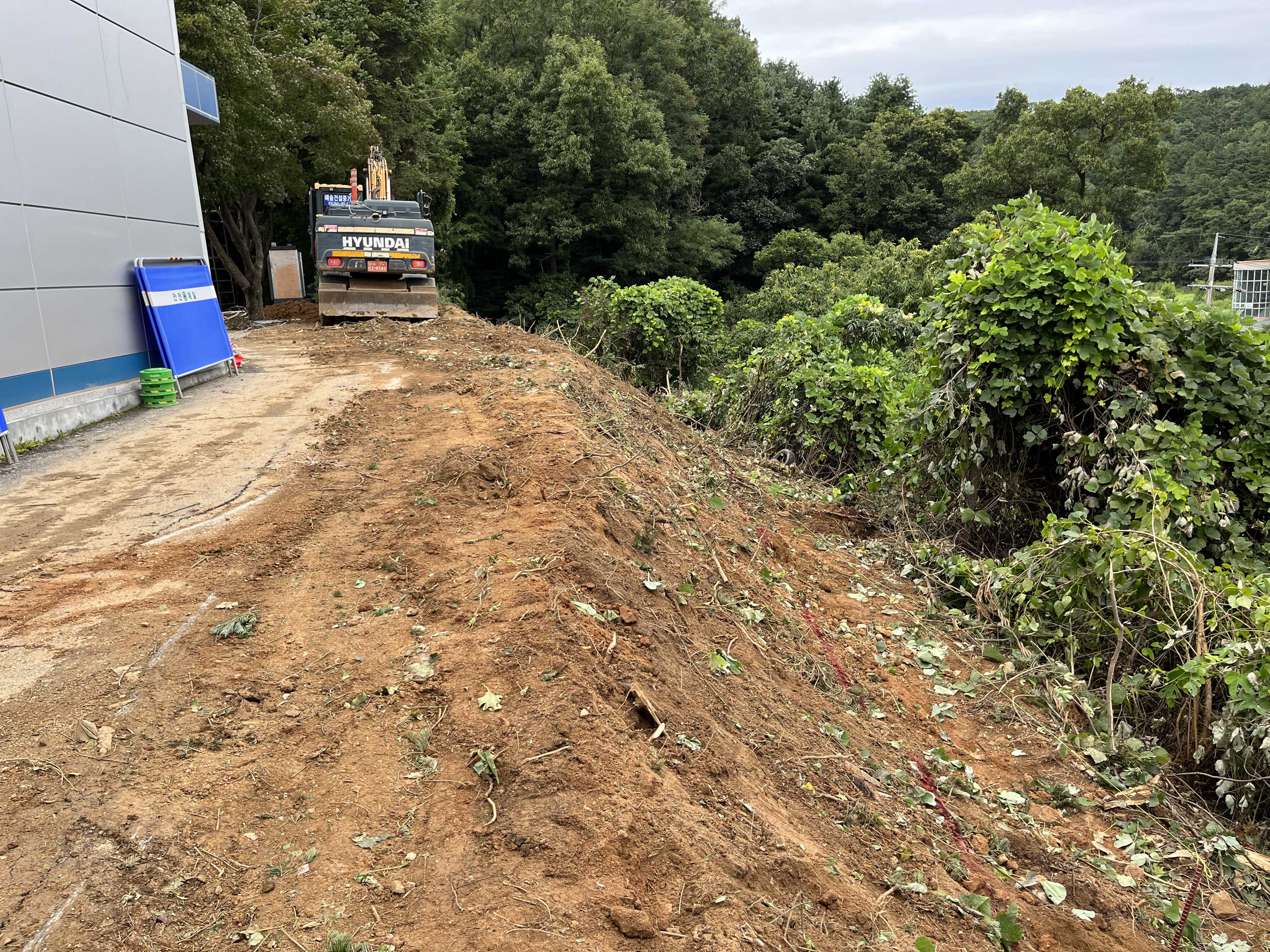 /user/s/sgeng/editor/2502/cd5ff9a1de6723b1d75a0af55af9be45_1740719624_816.JPG 이미지크게보기