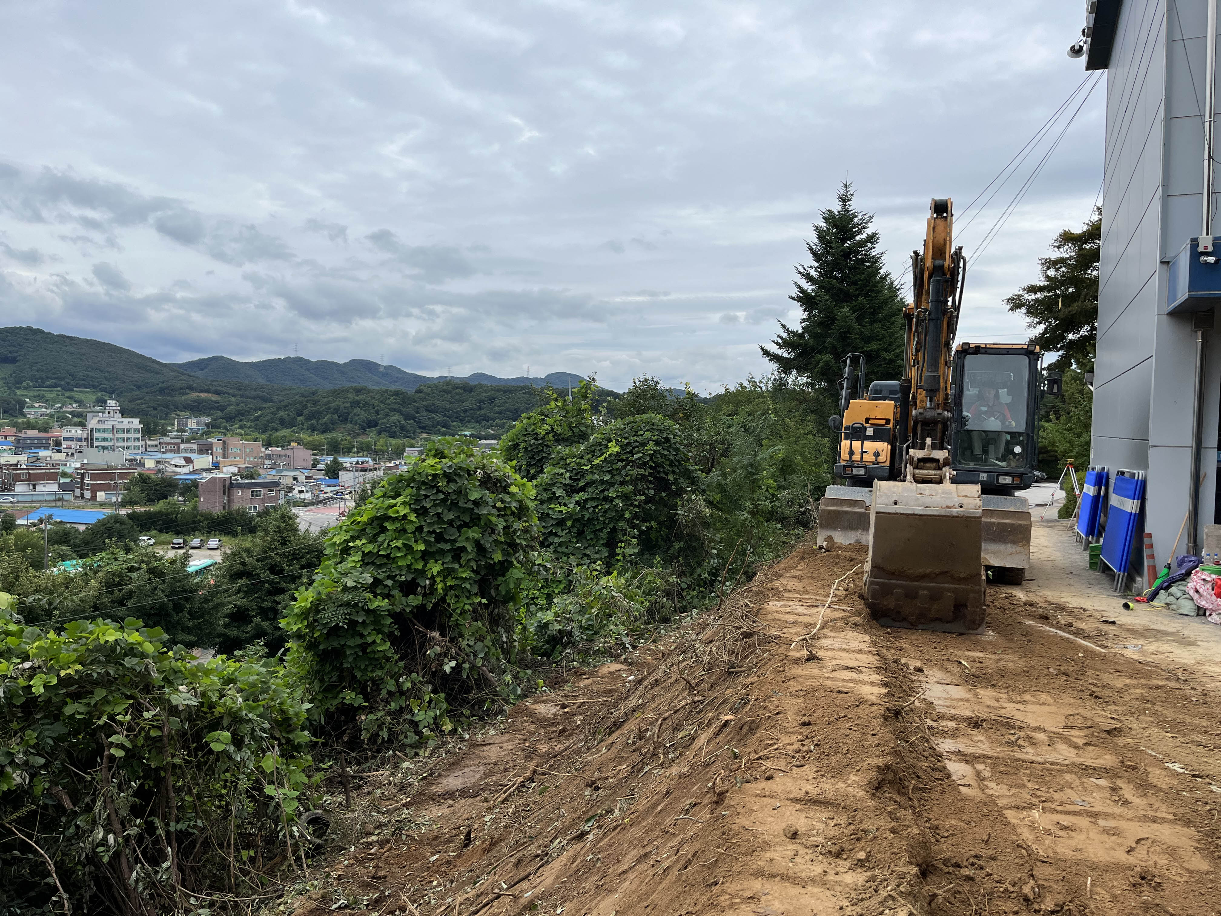 /user/s/sgeng/editor/2502/cd5ff9a1de6723b1d75a0af55af9be45_1740719625_2416.JPG 이미지크게보기