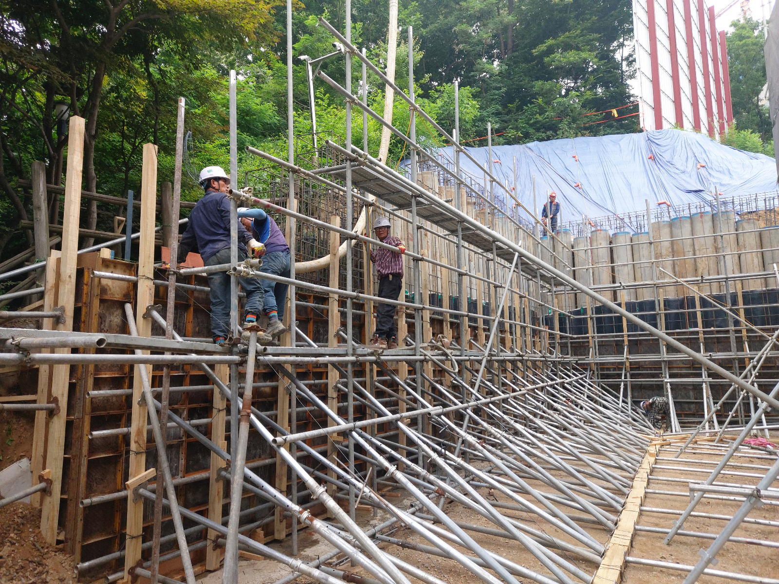 /user/s/sgeng/editor/2502/cd5ff9a1de6723b1d75a0af55af9be45_1740719842_5142.jpg 이미지크게보기