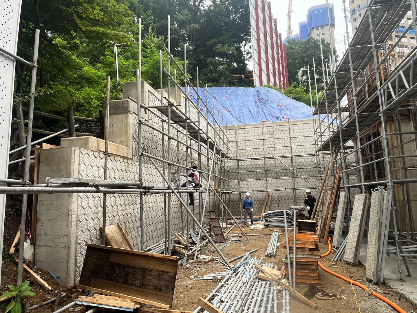 /user/s/sgeng/editor/2502/cd5ff9a1de6723b1d75a0af55af9be45_1740719842_8045.jpg 이미지크게보기