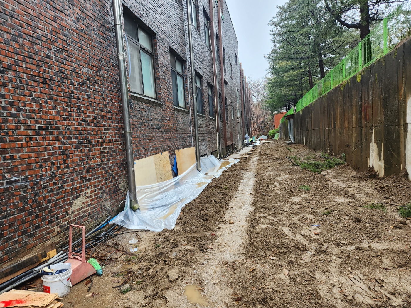 /user/s/sgeng/editor/2502/cd5ff9a1de6723b1d75a0af55af9be45_1740720356_6057.jpg 이미지크게보기