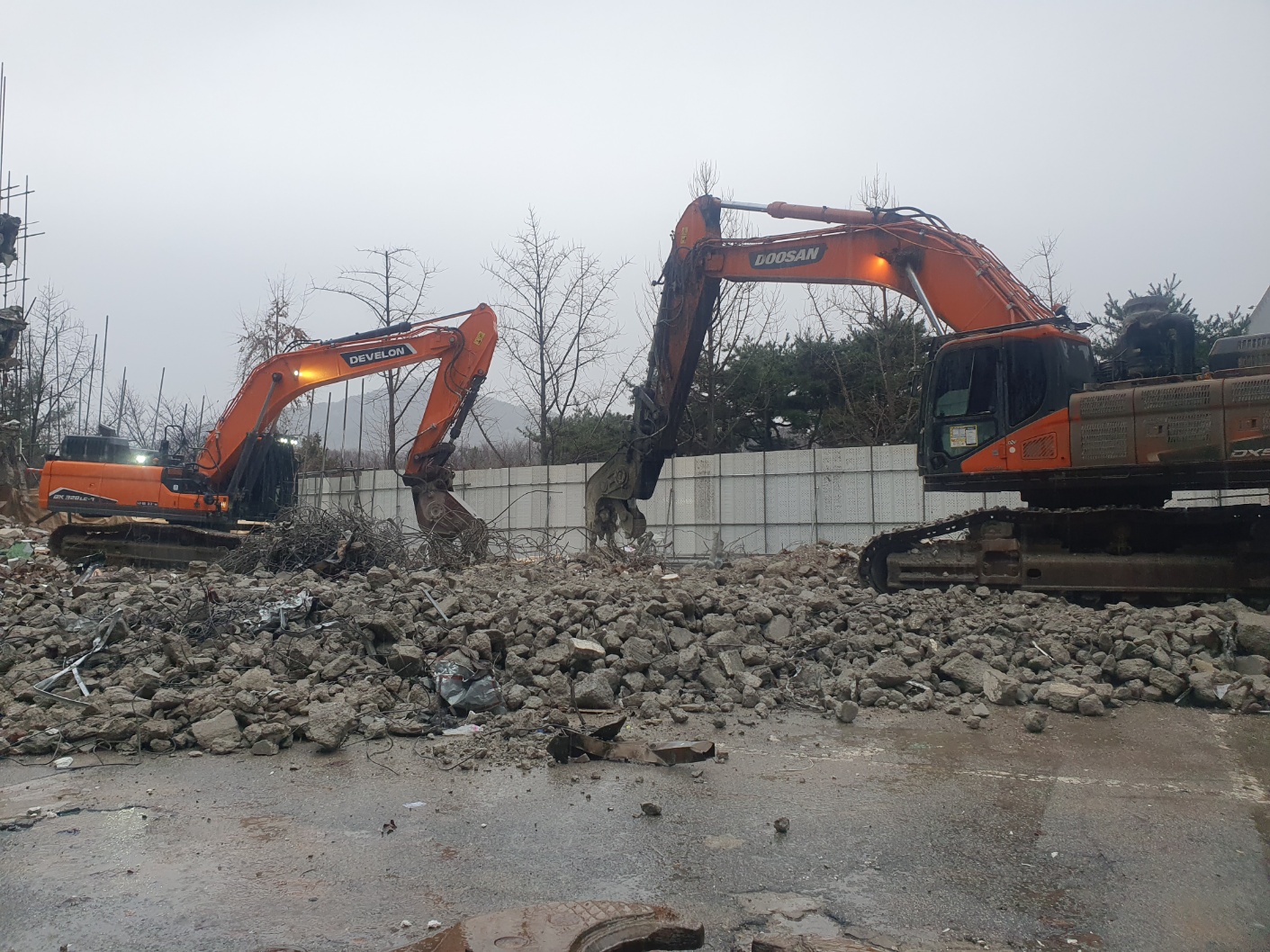 /user/s/sgeng/editor/2502/cd5ff9a1de6723b1d75a0af55af9be45_1740720832_4525.jpg 이미지크게보기