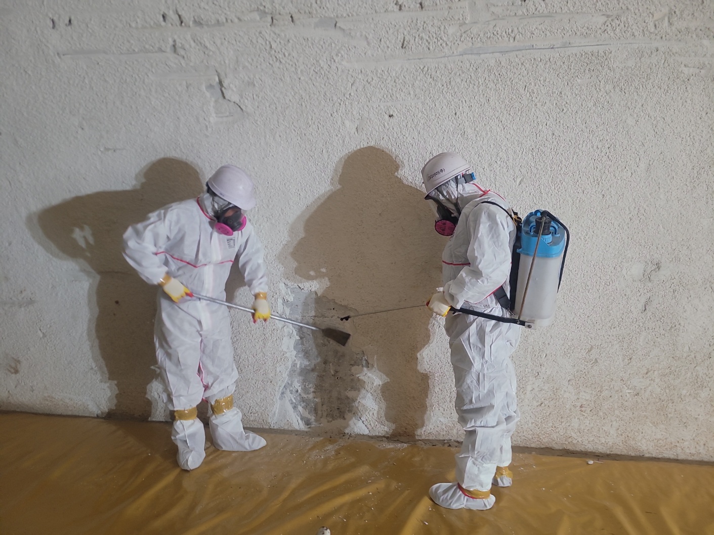 /user/s/sgeng/editor/2502/cd5ff9a1de6723b1d75a0af55af9be45_1740720852_3453.jpg 이미지크게보기