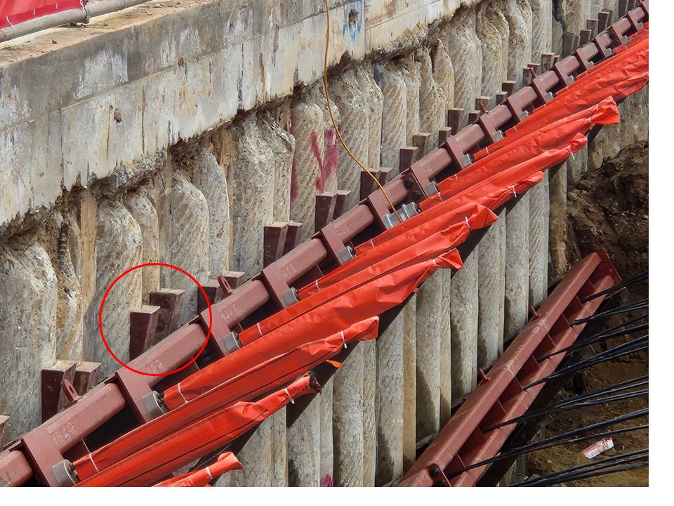 /user/s/sgeng/editor/2505/b9f147df5919e0206d73c05f2ab78e23_1747374141_292.jpg 이미지크게보기